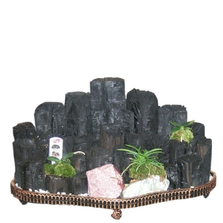 »ó¼¼³»¿ëº¸±â