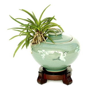 »ó¼¼³»¿ëº¸±â