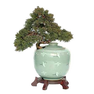 »ó¼¼³»¿ëº¸±â