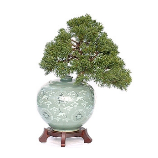 �󼼳��뺸��