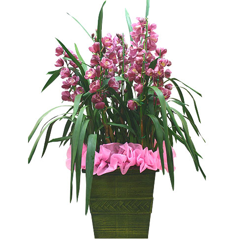 »ó¼¼³»¿ëº¸±â