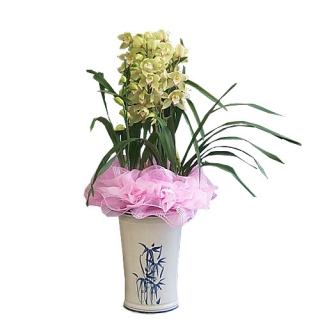 »ó¼¼³»¿ëº¸±â