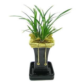 »ó¼¼³»¿ëº¸±â