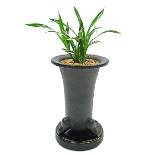 »ó¼¼³»¿ëº¸±â