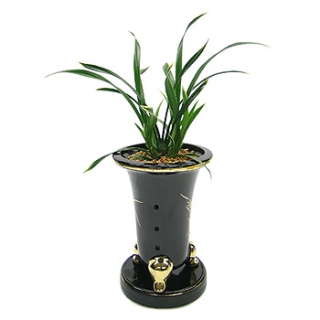 »ó¼¼³»¿ëº¸±â