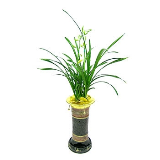 �󼼳��뺸��