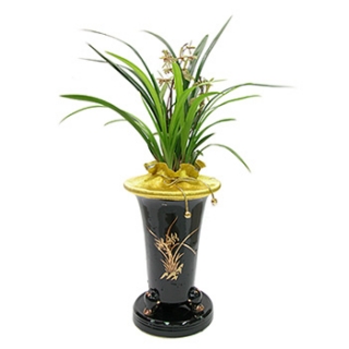 »ó¼¼³»¿ëº¸±â