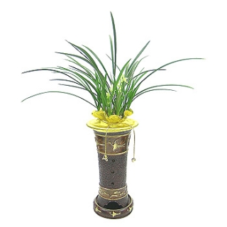 »ó¼¼³»¿ëº¸±â