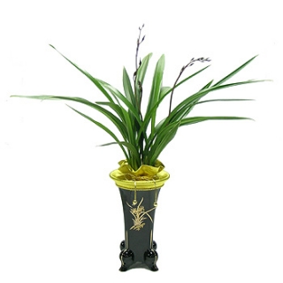 »ó¼¼³»¿ëº¸±â