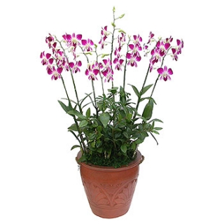 »ó¼¼³»¿ëº¸±â