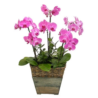 »ó¼¼³»¿ëº¸±â