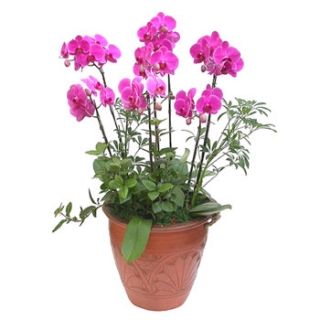 »ó¼¼³»¿ëº¸±â