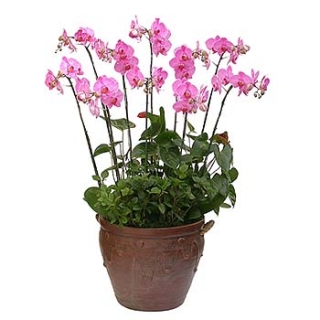 »ó¼¼³»¿ëº¸±â