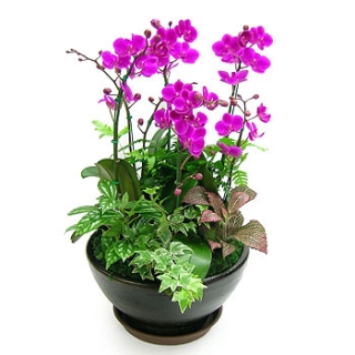 »ó¼¼³»¿ëº¸±â